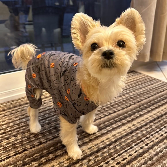 Meet your Posher, Lynne - Picture 1 of 3